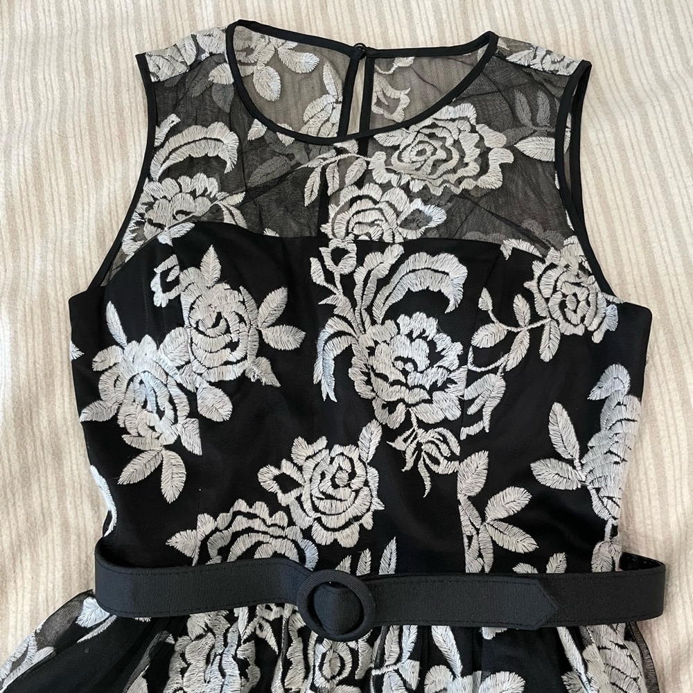 Vintage Inspired Mesh Floral Dress